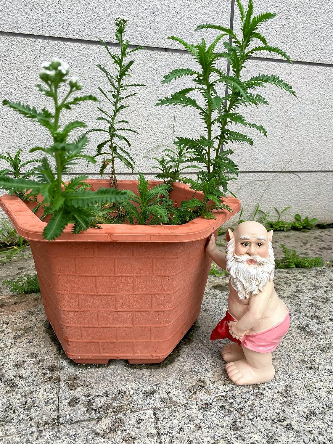 Funny Gnome Statue | Garden Gnomes | Funny Gnomes Garden Decorations for Outside Garden - Garden Gnomes 8" Tall