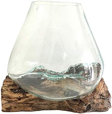 Hand Blown Molten Glass & Teak Wood Terrarium/Vase/Fish Bowl - Premium Quality (10" - 12" High)
