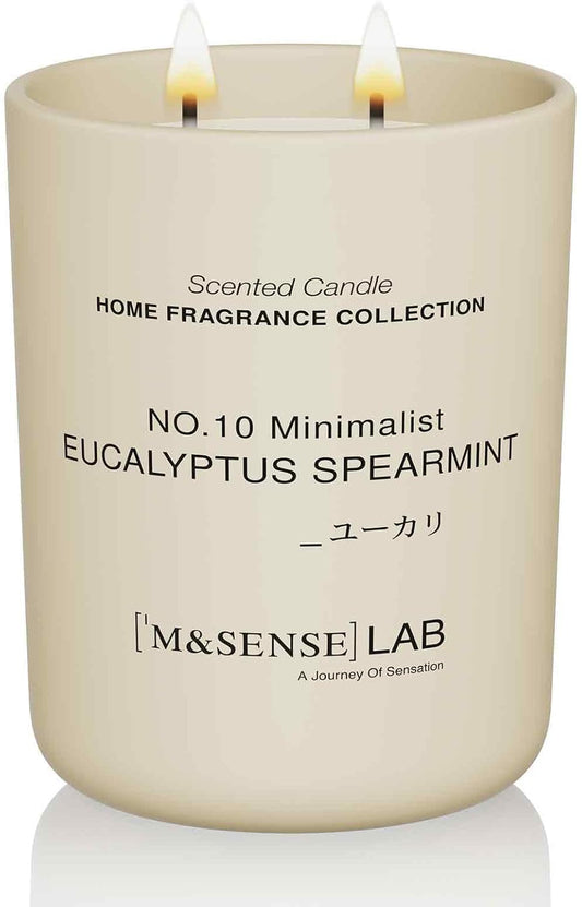 M&SENSE Natural Soy Candle| Eucalyptus Spearmint | 16.6 oz, 95H Burn | Minimalist Scented Candle for Relaxation, Gifting, Home Décor | for Bedroom, Office, Party Large