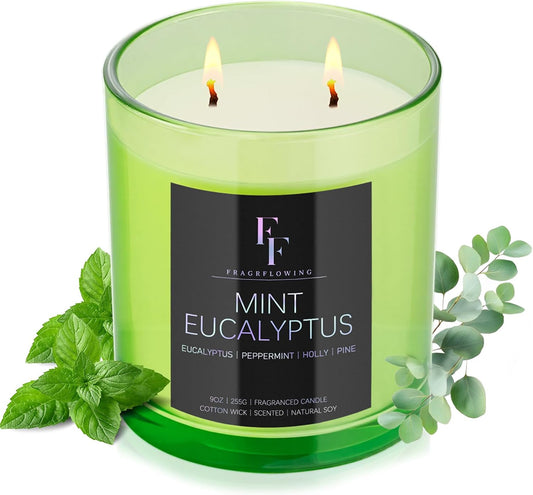Mint Eucalyptus Scented Candle, 2-Wick Luxury Soy Wax Candle, 9 oz Aromatherapy Candle Home Fragrance Candles Gift