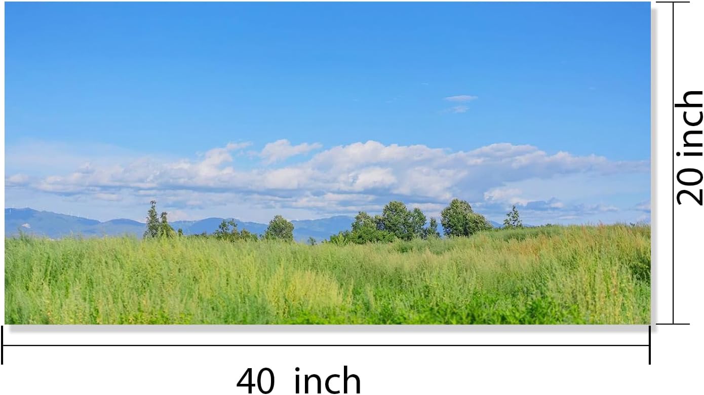 GZZFXXD Personalized Custom 20''x40'' Canvas Prints with Your Photo/your Image Large Wallart Wall Decor for Bedroom Dining room Living room Children's room(Unframed)