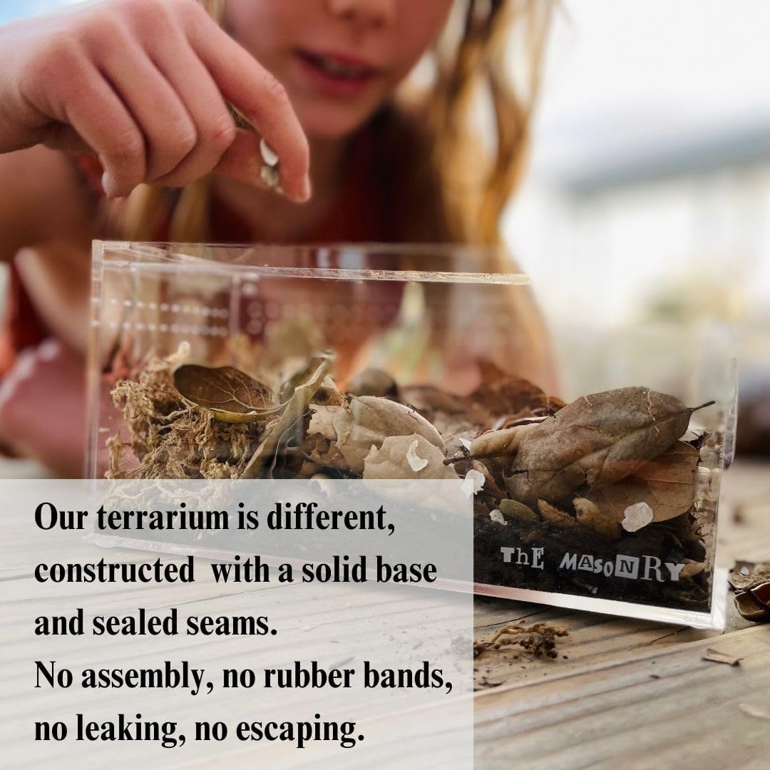 THE MASONRY | Acrylic Terrarium for Isopod Enclosure | 8"x4"x4" | Sling Tarantula Enclosure and Bug Tank | Small Spider Habitat | Terrarium Pre-Assembled with Magnetic Lock