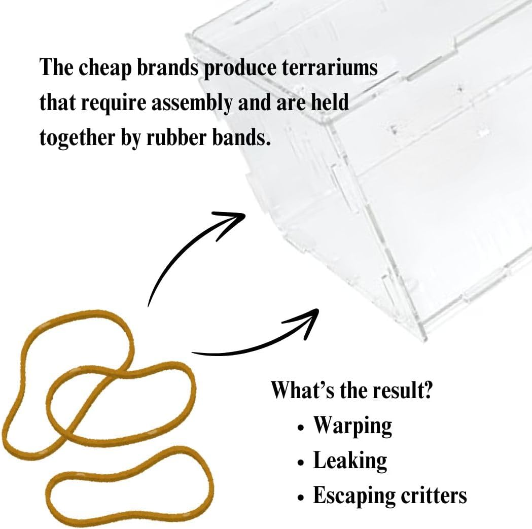 THE MASONRY | Acrylic Terrarium for Isopod Enclosure | 8"x4"x4" | Sling Tarantula Enclosure and Bug Tank | Small Spider Habitat | Terrarium Pre-Assembled with Magnetic Lock