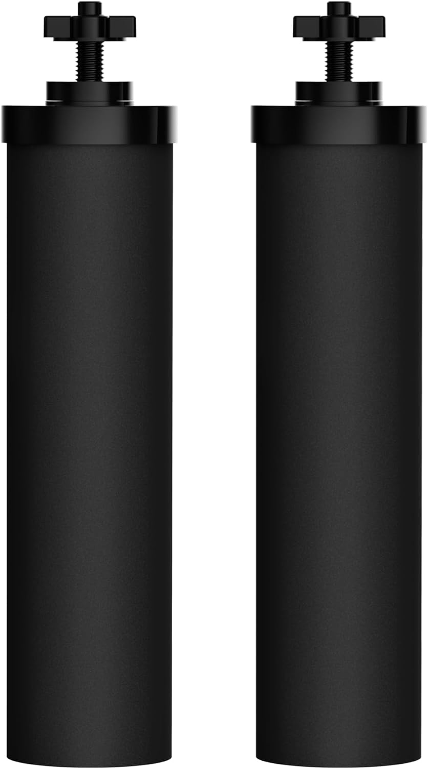 Waterdrop NSF/ANSI 42&372 Certified Water Filter, Replacement for Berkey® BB9-2® Black Filters, ProOne® or Alexapure® Gravity Water Filter System and Waterdrop King Tank Series, (Pack of 2)