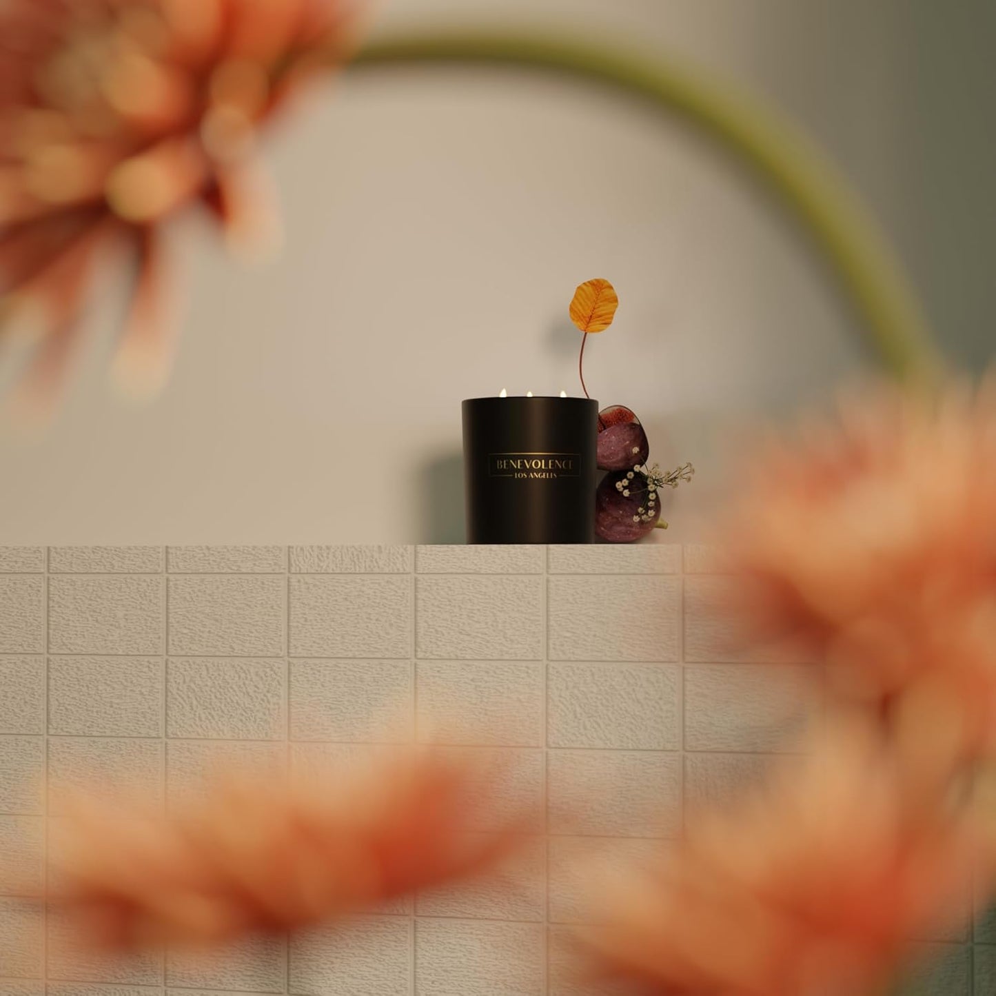 Benevolence LA 3 Wick Candle, Fig Tree Large Scented Candle | Soy Candles | Gifts for Women and Men | Home Fragrance | Aromatherapy | Bathroom Freshener 14.5 Oz, 45 Hour Burn