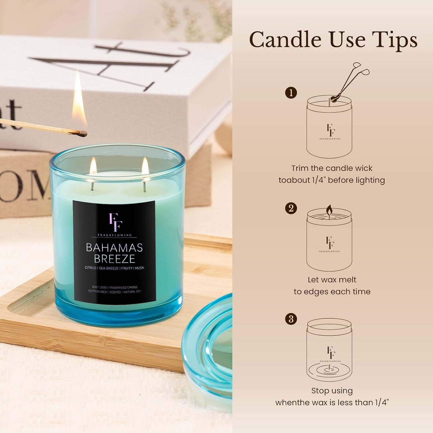 Bahamas Breeze Scented Candle, 2-Wick Luxury Soy Wax Candle, 9 oz Aromatherapy Candle Home Fragrance Candles Gift