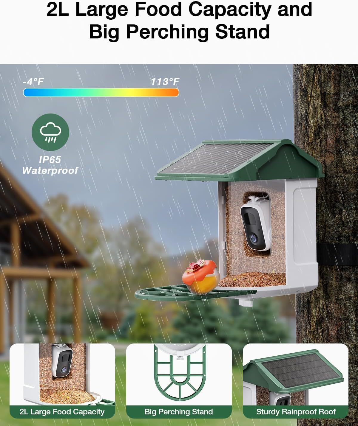 Bird Feeder with Camera-2K Live Video, Solar-Powered, Smart AI Identify Birds, 2L Food Capacity, Arrived Alerts, Bird Videos Storage, Mini Hummingbird Feeder for Watching Birds Outdoor