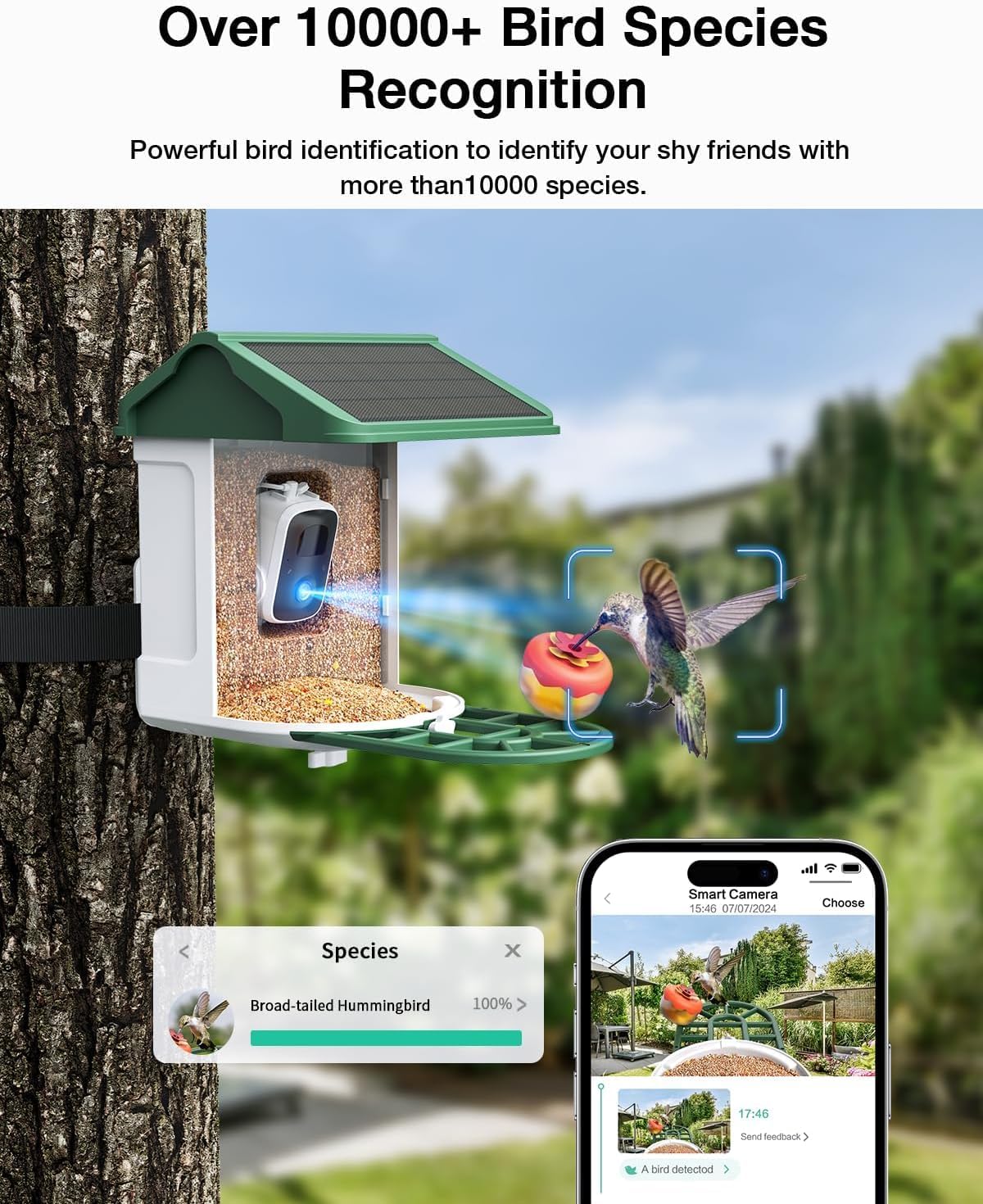 Bird Feeder with Camera-2K Live Video, Solar-Powered, Smart AI Identify Birds, 2L Food Capacity, Arrived Alerts, Bird Videos Storage, Mini Hummingbird Feeder for Watching Birds Outdoor
