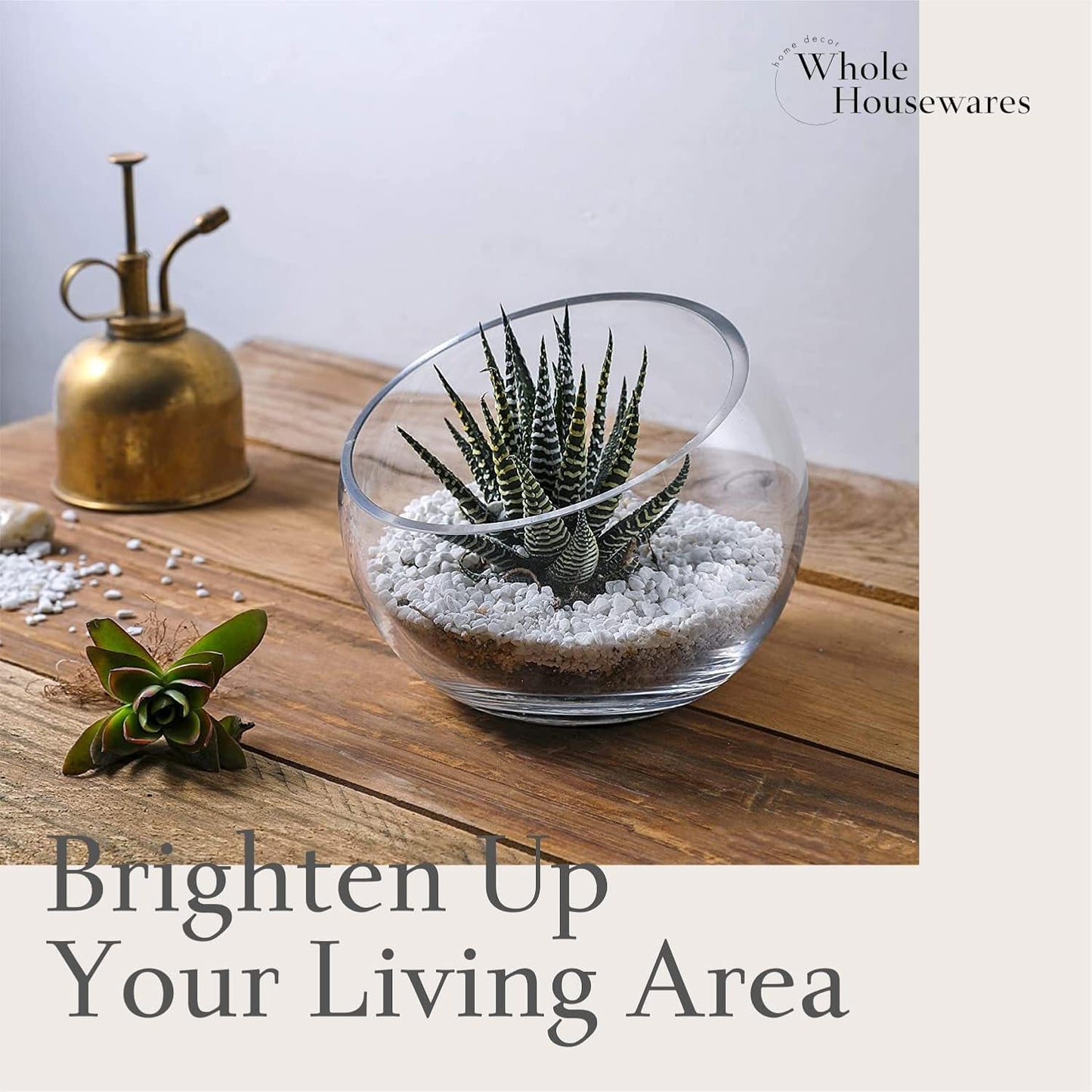 WHOLE HOUSEWARES | Slant Cut Bowl Glass Vase, Width 6.3", Height 5", Clear Terrarium Jar, Candy Jar, Fruit Jar, Floral Container for Wedding Party Event, Home Office Decor, 1 Piece