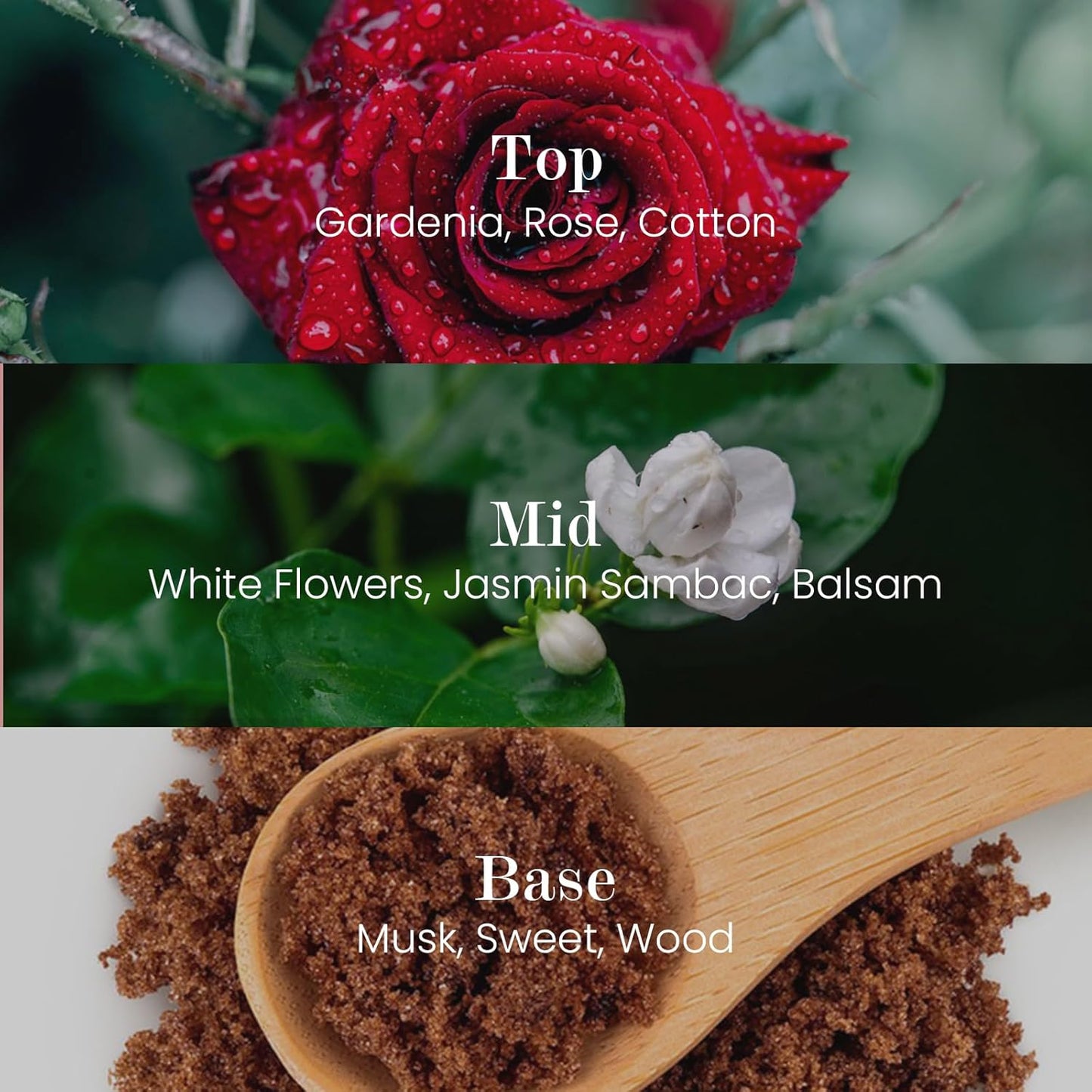 M&SENSE Natural Soy Candle| Puffy-Cloud Dream | 5.3 oz | Minimalist Scented Candle for Relaxation, Gifting, Home Décor | for Bedroom, Office, Party Small