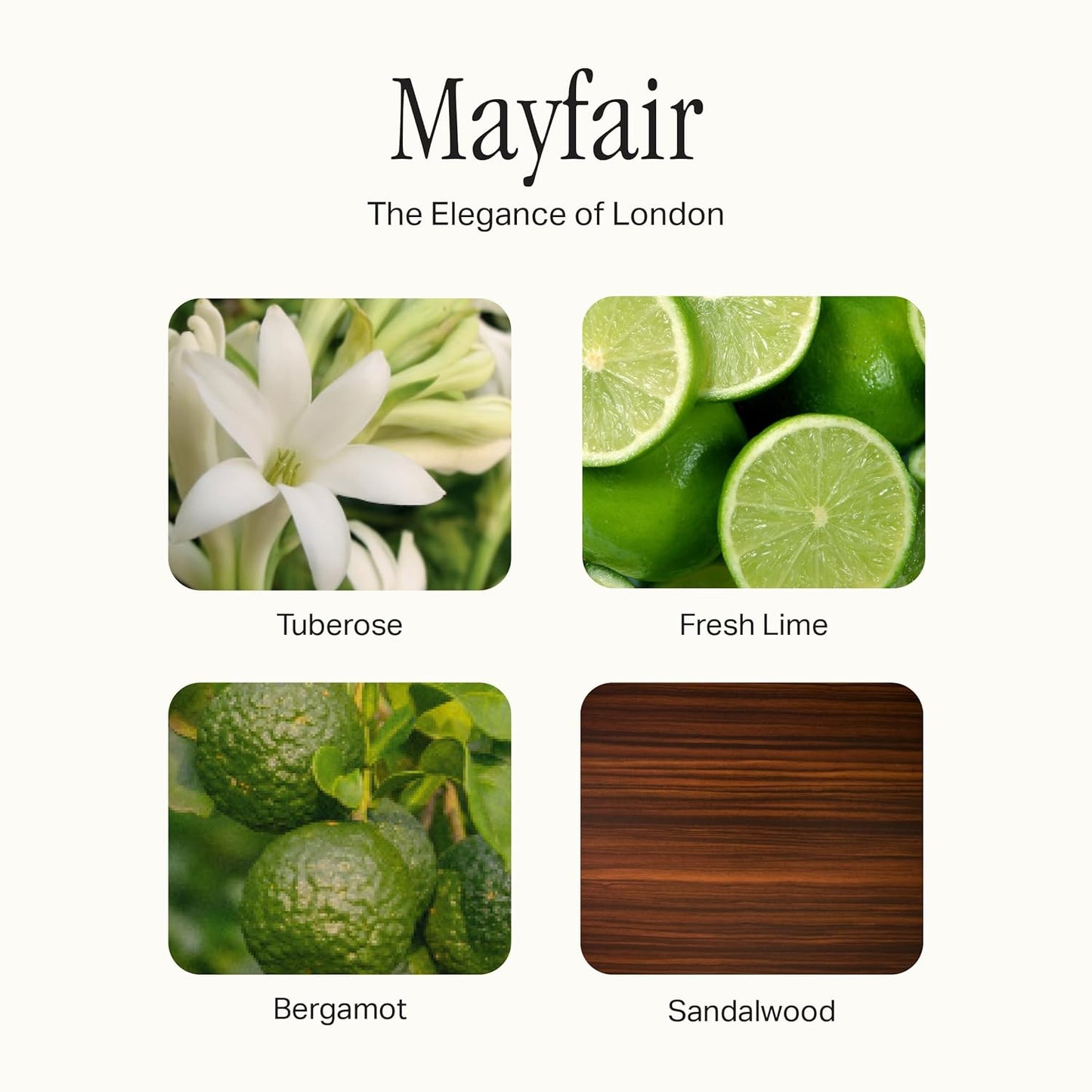 The Scented Candle, Luxury Candle with Vegan, Soy Wax Blend, Mayfair, 7.5 Oz