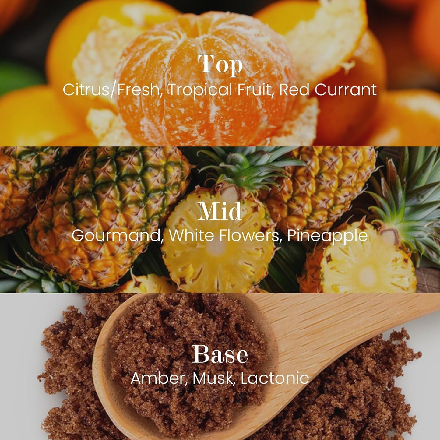 M&SENSE Natural Soy Candle| Sparkling Fruit Drops | 16.6 oz, 95H Burn | Minimalist Scented Candle for Relaxation, Gifting, Home Décor | for Bedroom, Office, Party Large