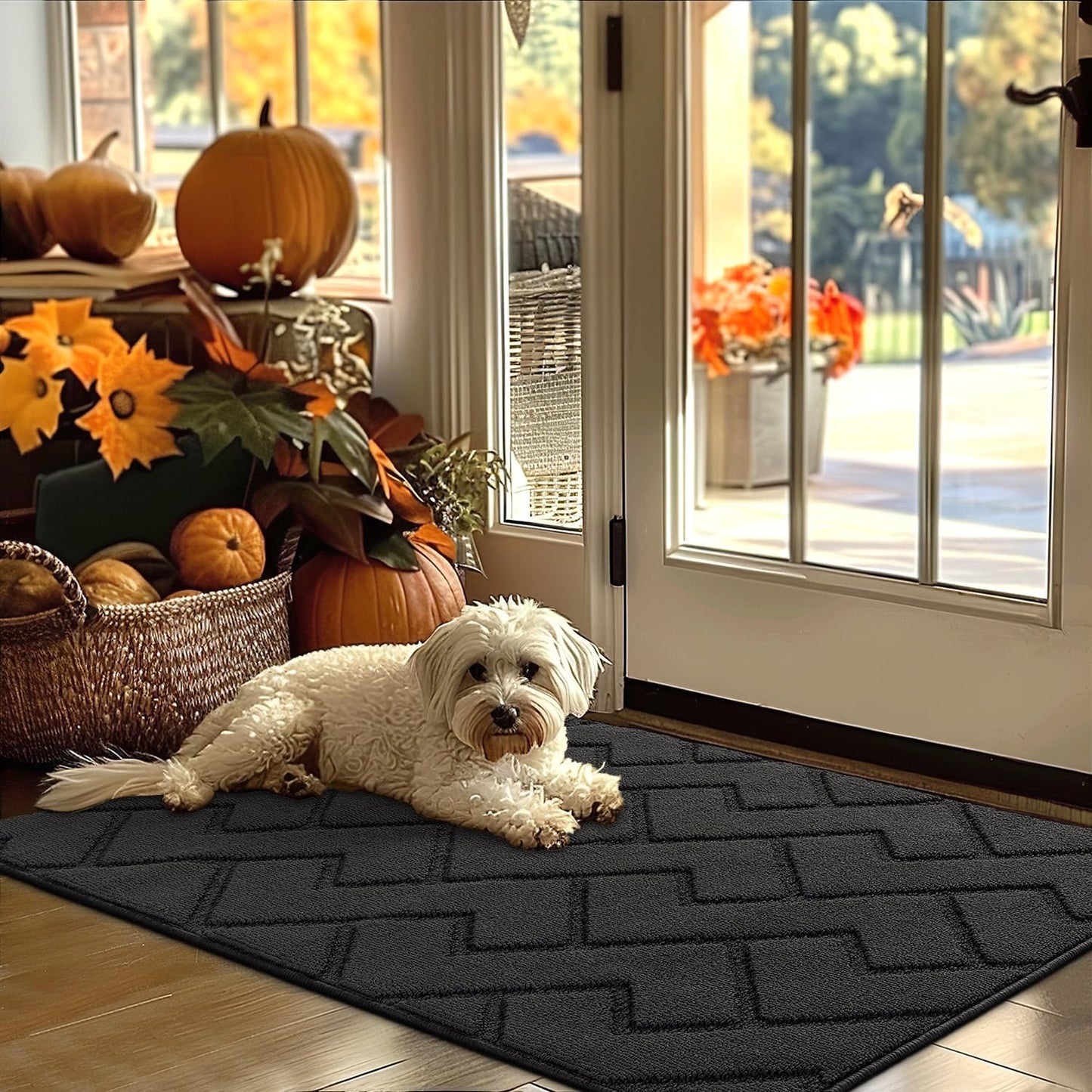 hicorfe Indoor Door Mat,Non Slip Door Mats,32"x48" Front Back Door Mat Rubber Backing,Absorbent Resist Dirt Entrance Inside Floor Mats for Entryway Washable Low-Profile(Charcoal)