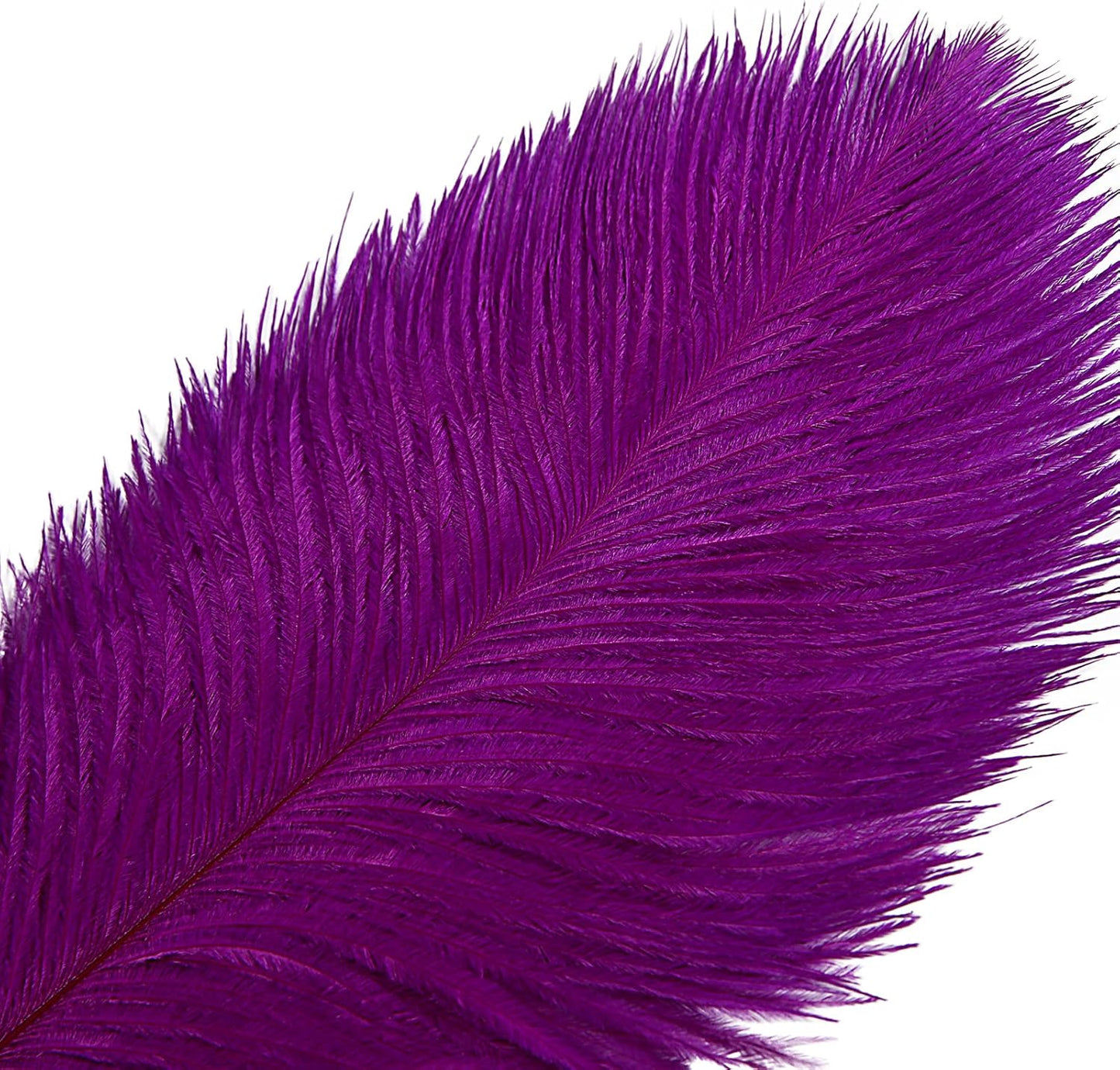 THARAHT 12pcs Purple Ostrich Feathers Natural Bulk 14-16Inch 35cm-40cm for Wedding Party Centerpieces Easter Gatsby and Home Decorate Ostrich Feather
