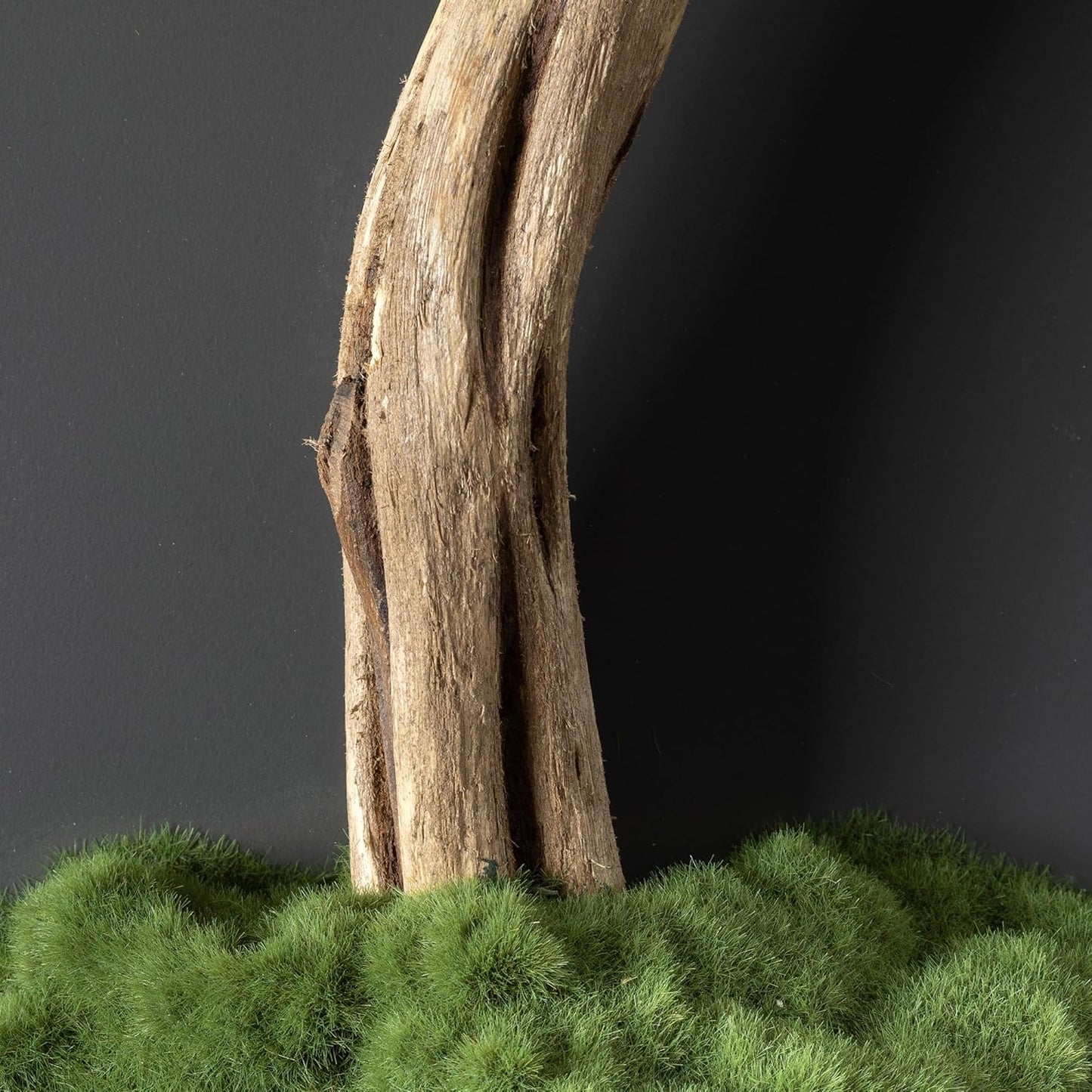 Bonsai Art Life Tree Tableau - 6 Handmade Tree Portrait, Wall Art, Wall Decor