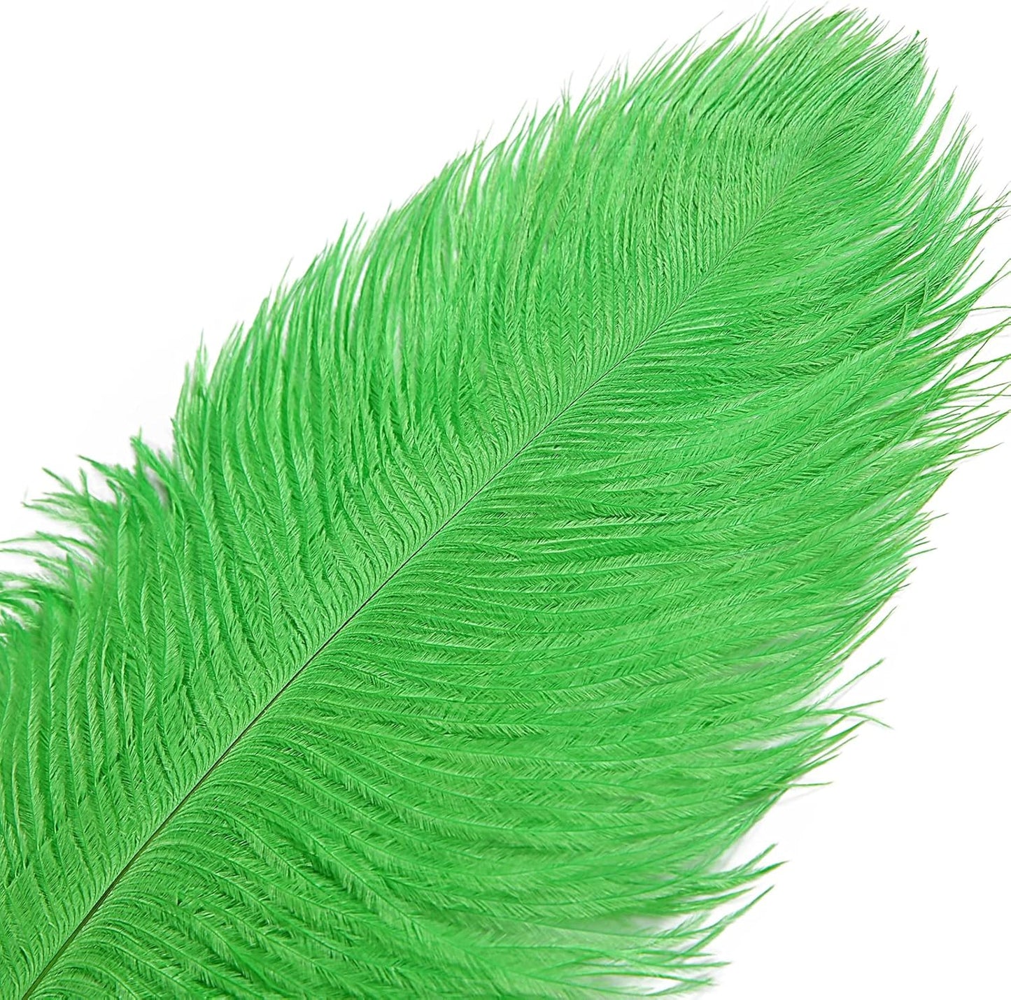 THARAHT Green Ostrich Feathers 12pcs Large Natural Bulk 12-14Inch 30cm-35cm for Wedding Party Centerpieces Mardi Gras and Home Decoration Feathers