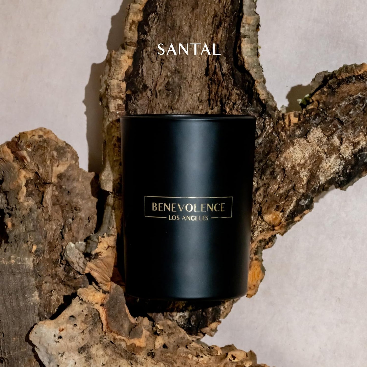 Benevolence LA Santal Scented Candle | Soy Candles, Black Candle for Home | Gifts for Women and Men | Home Fragrance | Aromatherapy | Bathroom Freshener | 10oz
