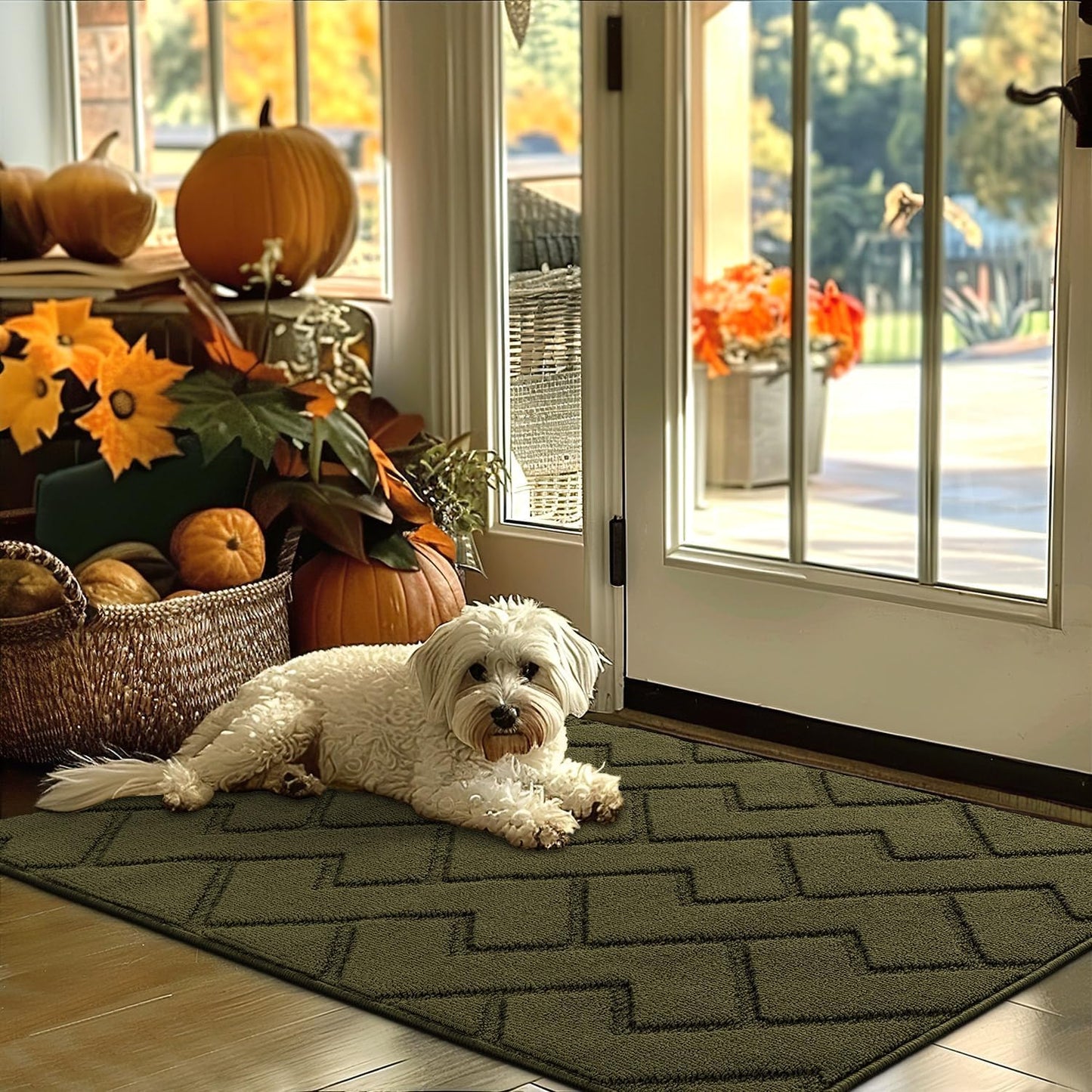 hicorfe Indoor Door Mat,Non Slip Door Mats,32"x48" Front Back Door Mat Rubber Backing,Absorbent Resist Dirt Entrance Inside Floor Mats for Entryway Washable Low-Profile(Oliver Green)