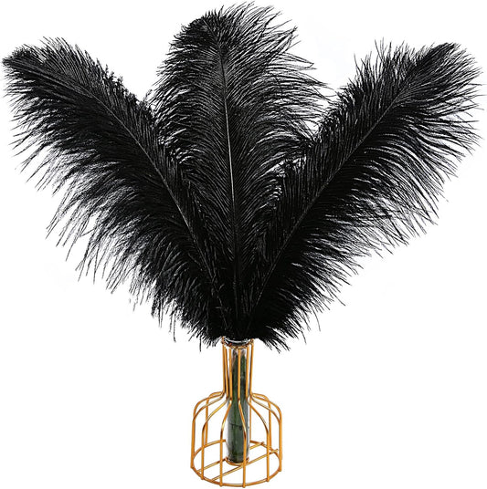 THARAHT Black Ostrich Feathers 12pcs Large Natural Bulk 20-22Inch 50cm-55cm for Wedding Party Centerpieces Halloween and Home Decoration Feathers