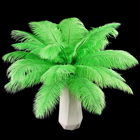 THARAHT Green Ostrich Feathers 12pcs Natural Bulk 8-10Inch 20cm-25cm for Crafts Wedding Party Centerpieces Mardi Gras and Home Decoration Feathers
