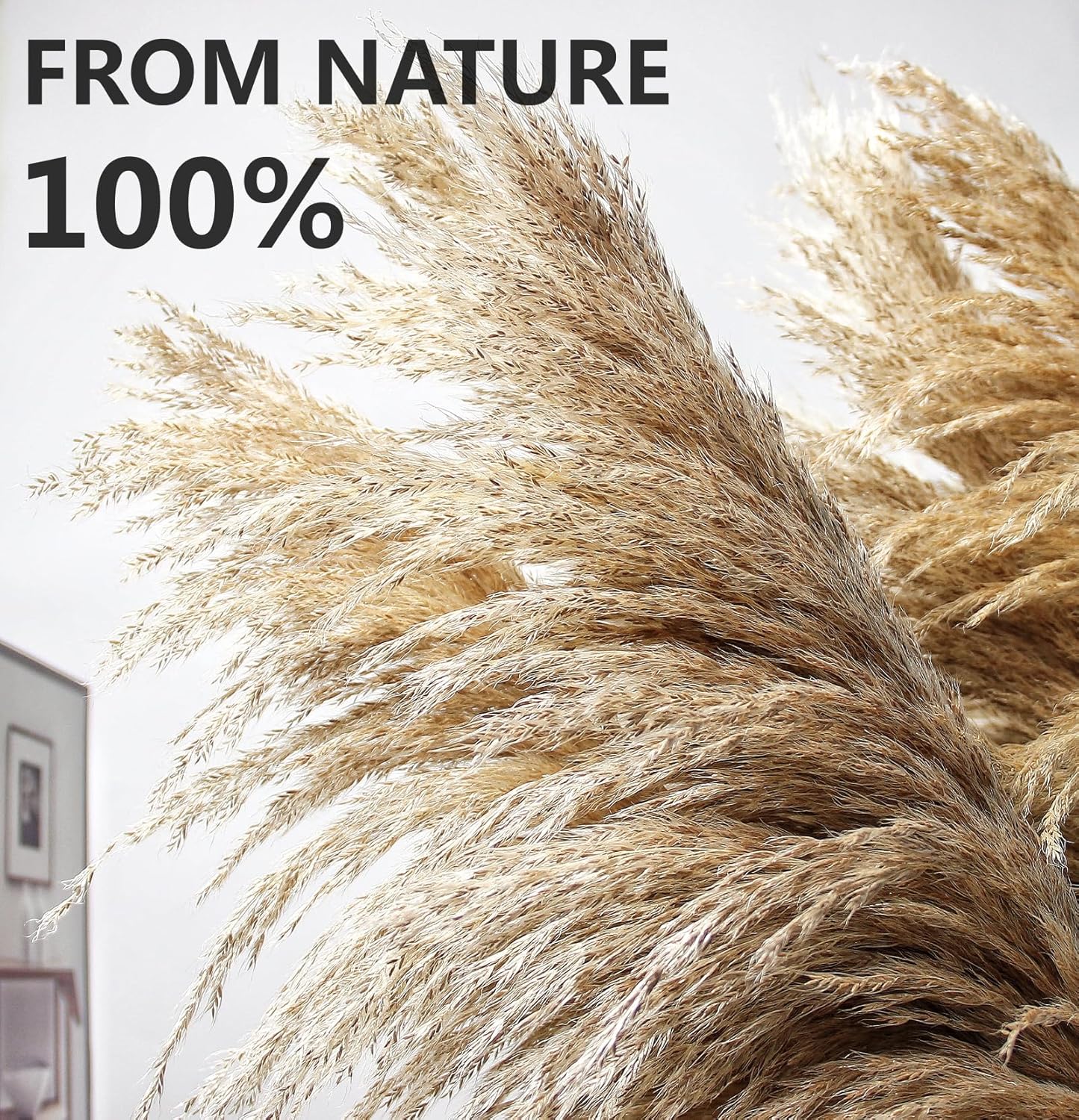 40" inch 10 Stems Pampas Grass Decor Tall, Pampas Grass Bouquet, Natural Dried Flowers for Wedding, Natural Home Decor, Wall Grass, Glam Decor