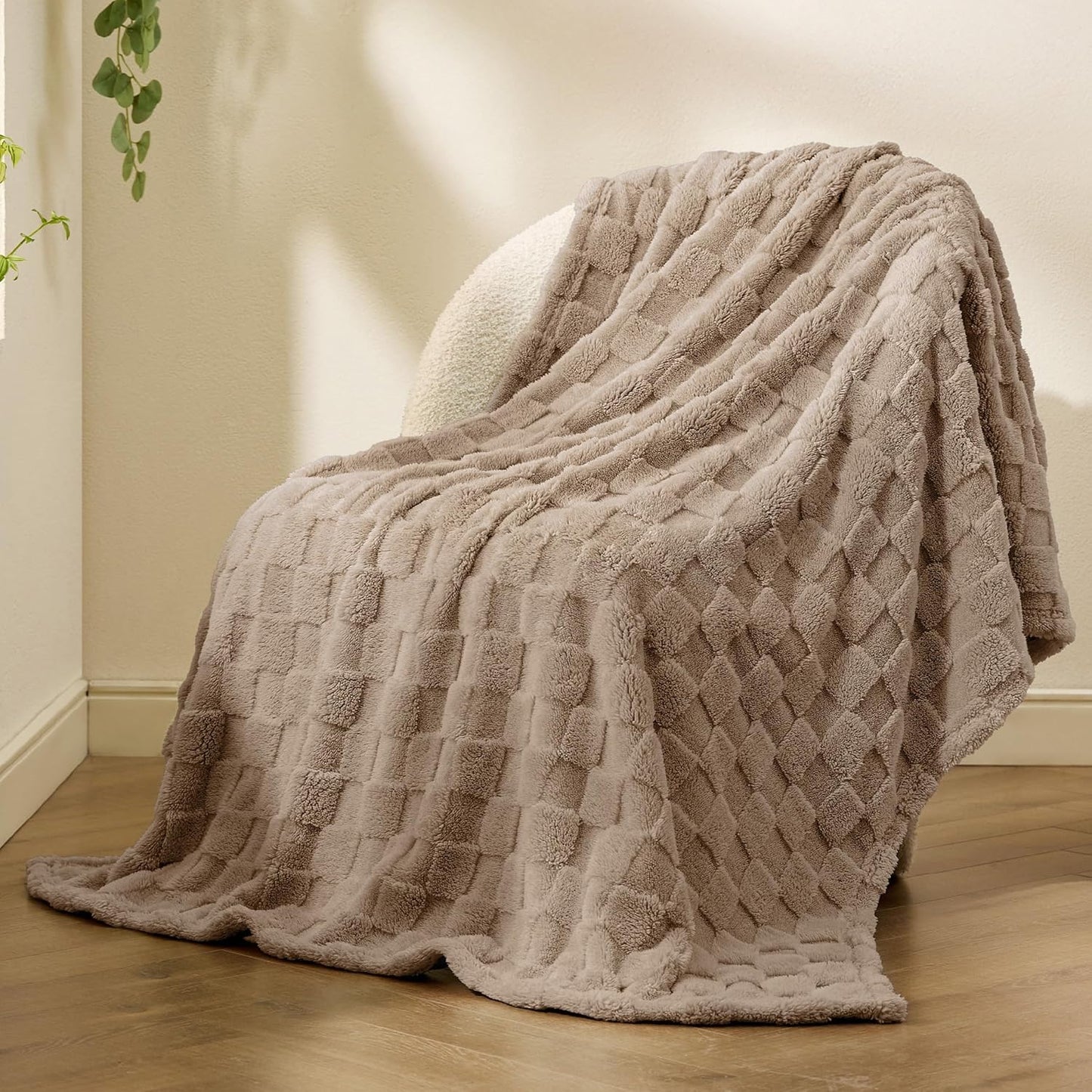 Bedsure GentleSoft Twin Blanket for Bed Light Taupe - Super Soft Cozy Blankets for Women Men Girls, Cute Fuzzy Fleece Throws for Bedroom Couch, 60x80 Inches